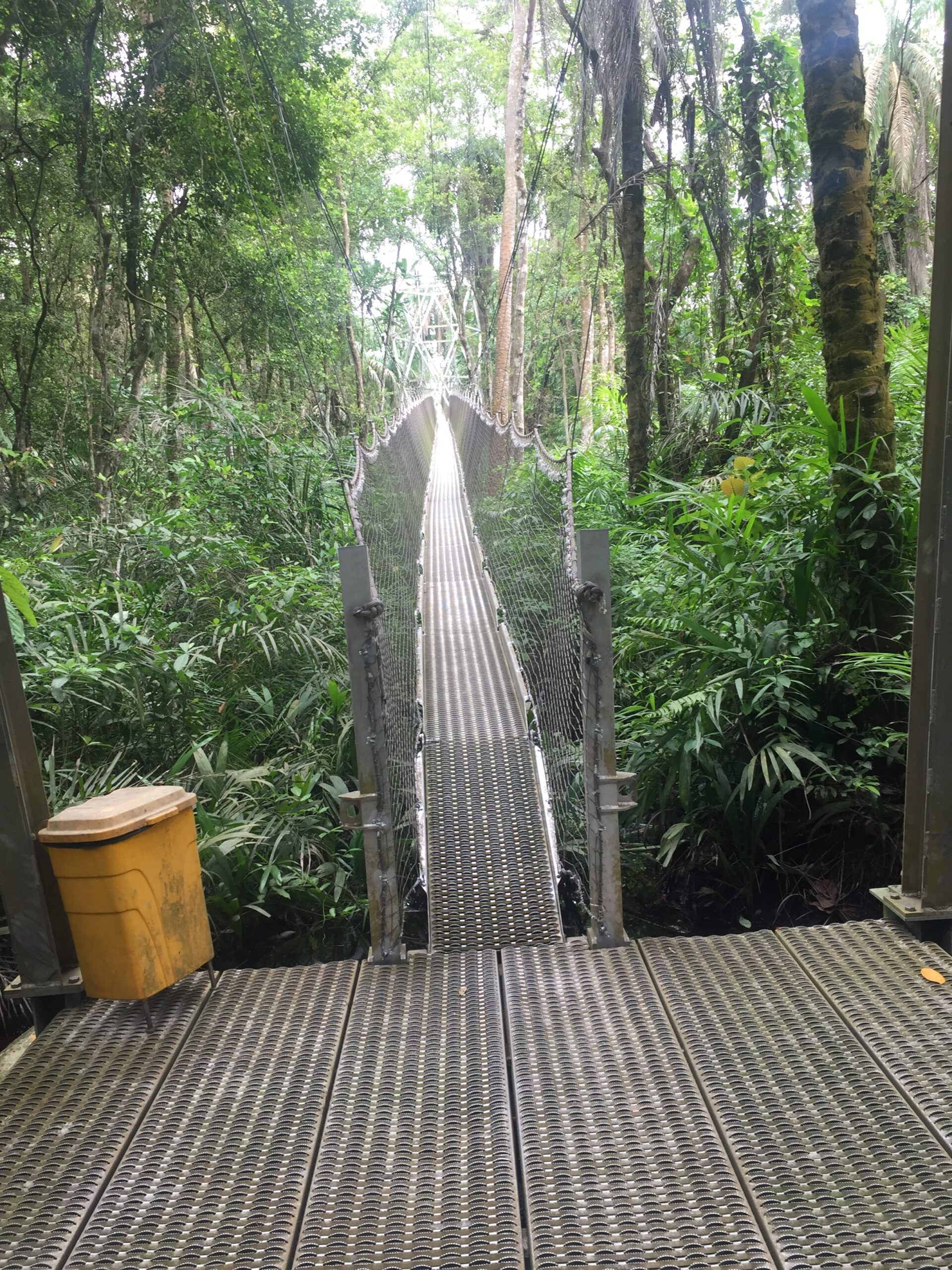 Conquering my fear of Heights at the Lekki Conservation Centre